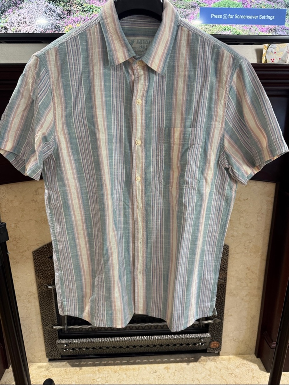 American Eagle Outfitters Men's Pastel Striped Button-Down Shirt